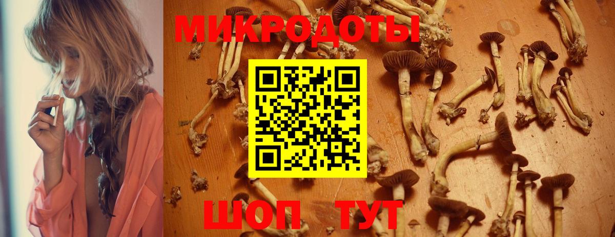 Галлюциногенные грибы Cubensis Жигулёвск